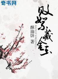 败絮藏金玉