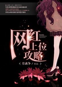 重生之网鸿上位汞略