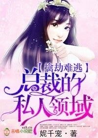 《总裁的私人领域/擒劫难逃,总裁的私人领域》