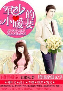 盛世婚宠:军少的小暖妻