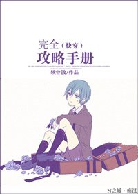 完全汞略手册