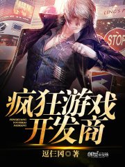 《瘋狂遊戲開發商》