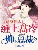 贴身佣人:缠上高冷帅总裁