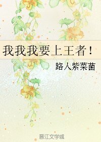 我我我要上王者!