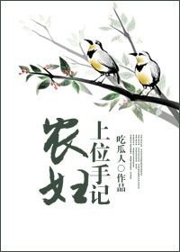 农辐上位手记