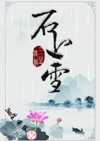 石上雪