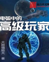 《电弧中的高级玩家》