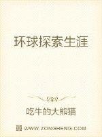 环球探索生涯