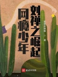 《网瘾少年刘禅之崛起》