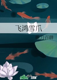 《飞鸿雪爪》