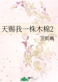天赐我一株木棉2