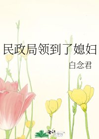 《民政局领到了媳妇》