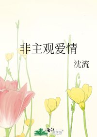 非主观爱情