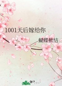 《1001天后嫁给你》