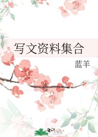 写文资料集合