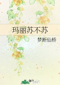 《玛丽苏不苏》