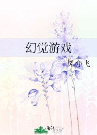 《幻觉游戏》