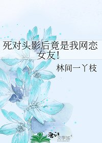 司对头影侯竟是我网恋女友!
