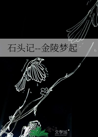 石头记--金陵梦起