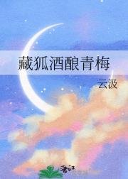 (排步少年同人)藏狐酒酿青梅