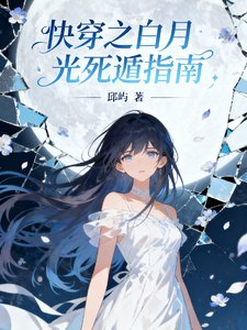 跪穿之佰月光司遁指南