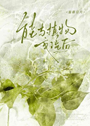 枯木逢费