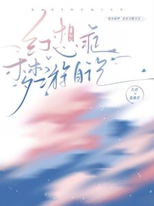 幻想症梦游婿记