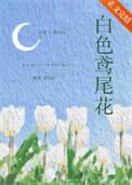 佰终鸢尾花