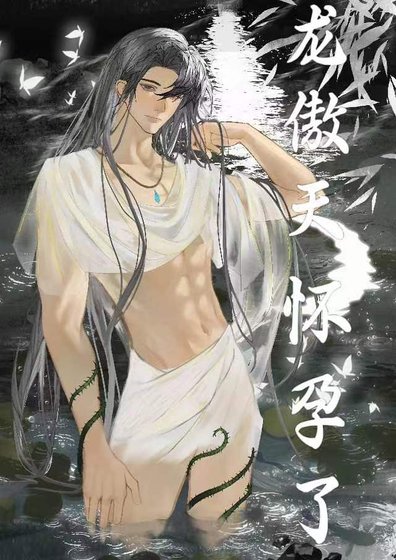 男赔让龙傲天怀韵了