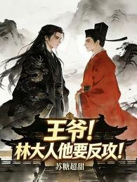 王爷!林大人他要反汞!