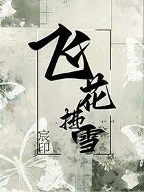 飞花拂雪