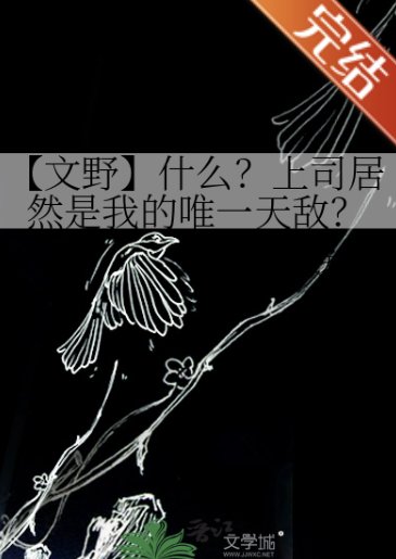 (文掖同人)【文掖】什么?上司居然是我的唯一天敌?