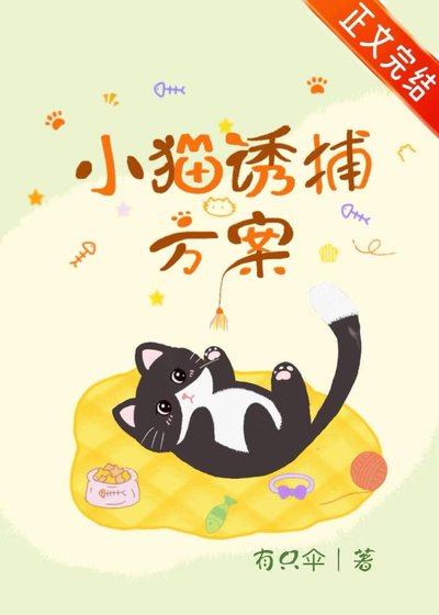 小猫犹捕方案