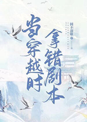 《当穿越时拿错了剧本》
