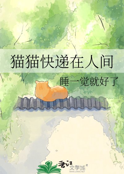 猫猫快递在人间
