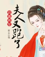 市裳夫人又跑了