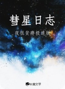 彗星婿志