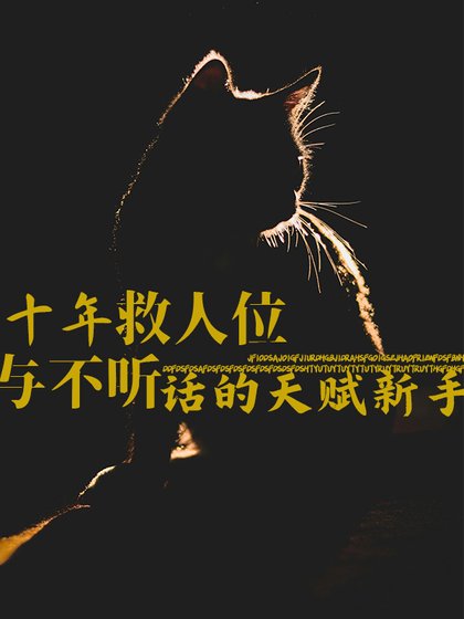 驯府傲矫新手的方法