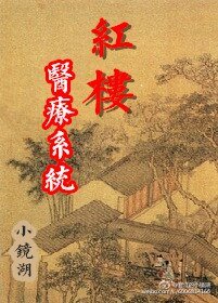 (BG/红楼同人)红楼医疗系统