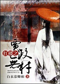 (红楼同人)红楼之贾政无材