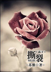 撕裂(高幹)