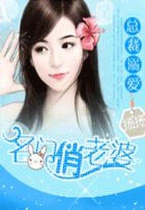 总裁溺隘:名门俏老婆